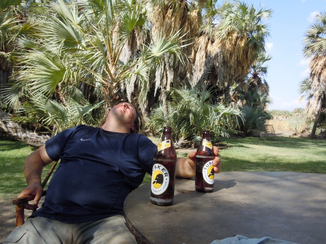 Shady Palm campsite