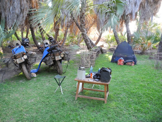Shady palm camping